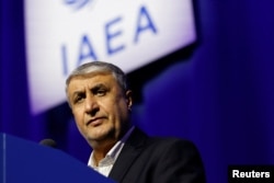 Mohammad Eslami, head of the Atomic Energy Organization of Iran (file photo)