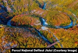 Parcul Național Defileul Jiului are peste 11.000 de hectare și se întinde între munții Vâlcan (grupa Retezat-Godeanu) și Parâng, cu stânci, munți, chei, păduri, habitate și rezervații naturale de interes național și european.