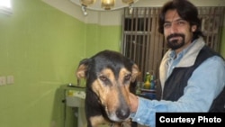 علی طبرزدی، فعال حقوق حیوانات