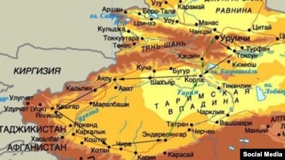 Транни өзінің мүшесін сорады