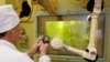 A technician operates a manipulator as he works with plutonium at the Mayak nuclear reprocessing plant in the Chelyabinsk region.