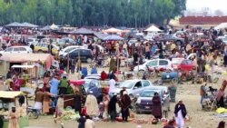 خوست خلبیسات مېلې ته د بېلا بېلو ولایتونه خلک ورځي