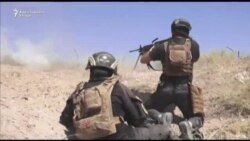 Zaustavljeno napredovanje iračkih snaga kod Faludže