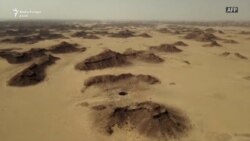 Misteri i "Pusit të Ferrit"