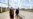 COVID-19 бийликке сынды күчөттү