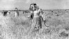 Women harvesting wheat in Bulgaria’s Svetovrachene village in 1955. 