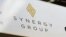 Synergy Group