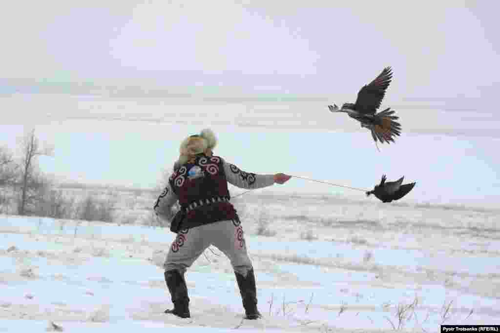 A falcon catches prey during the competition.