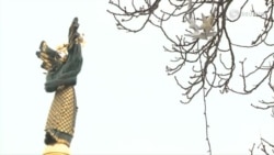 Дӯстии Украина бо Русия хотима меёбад