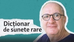 Dicționar de sunete cu Lucian Ștefănescu