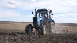 Vasile Șarban spune că războiul din Orientul Mijlociu va afecta prețurile de achiziție a producției agricole din următoarea recoltă, în dependență de cât de mult se va majora costul la motorină, lubrifianți, fertilizanți, produse fitosanitare.