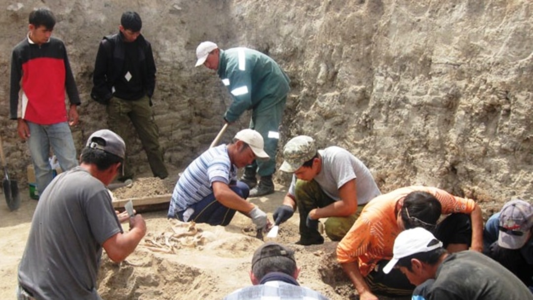 Sexwatch трахает әйелі саяжайда