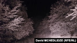 ფოტოილუსტრაცია