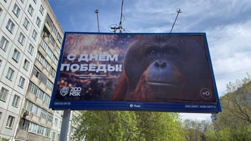 В Новосибирске прокуратура проверяет баннер с орангутаном к 9 мая