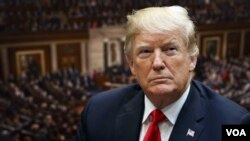 د امریکا د متحدو ایالتونو ولسمشر ډونالد ټرمپ