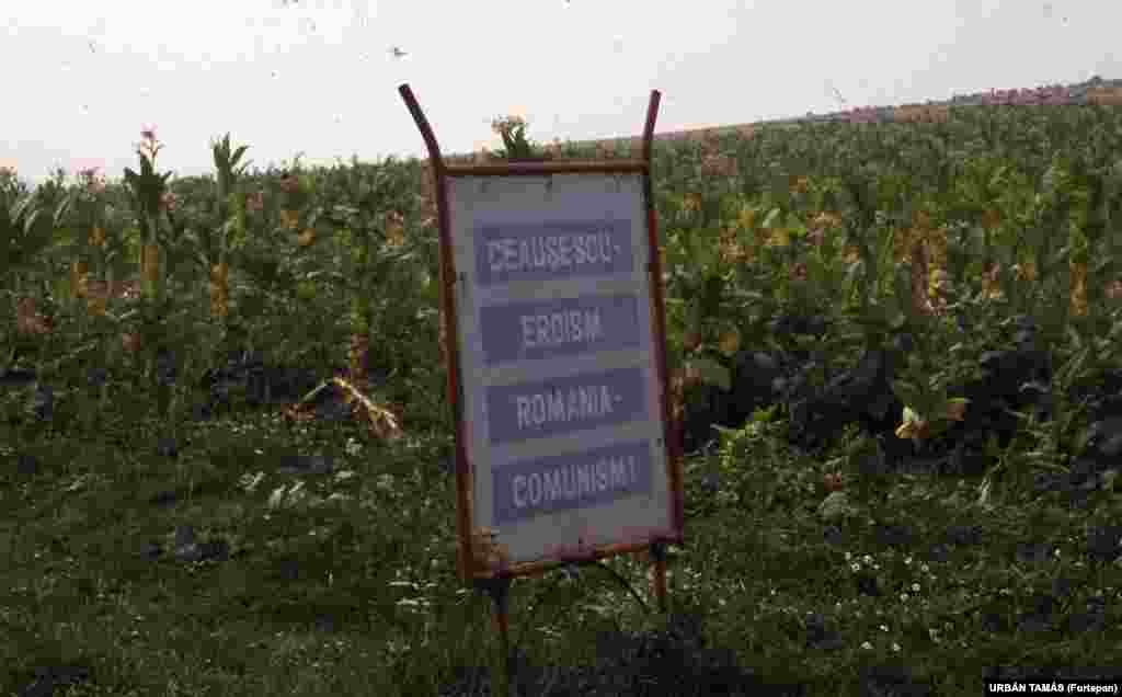 A sign declaring &quot;Ceausescu -- heroism, Romania -- communism!&quot; By the 1980s, Ceausescu&#39;s obsession with glorifying himself and repaying foreign loans was having a devastating effect on the Romanian people. &nbsp;