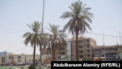 Baghdad authorities had hoped to use a belt of palm trees to protect the Iraqi capital from the impact of dust storms. 