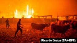 Incendiu în Vieira de Leiria, Portugalia, octombrie 2017
