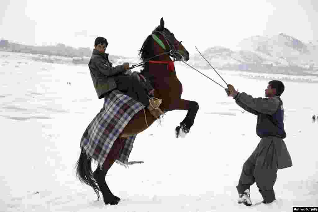 Аўганістан. Чалавек запрашае на конную прагулку па ўскраіне Кабулу.(AP/Rahmat Gul)