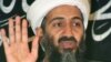 کشته شدن اسامه بن لادن باعث تضعیف شبکه القاعده شده‌است