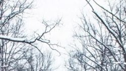 Татарстанны кар күмә