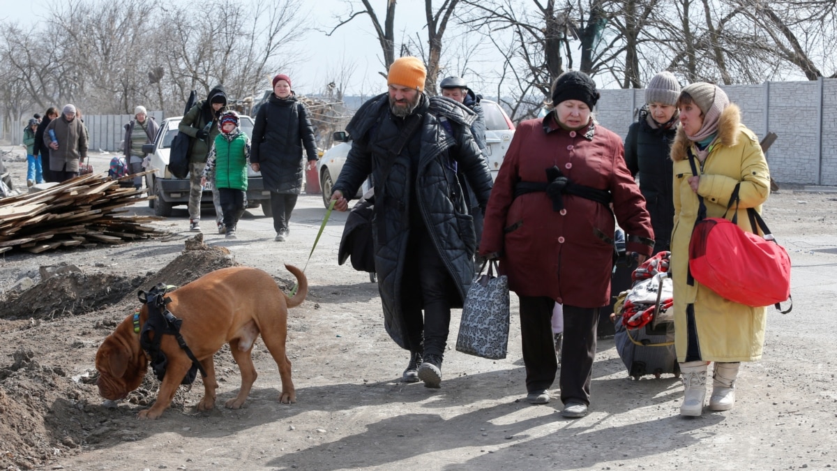 Есть те, кому нужна твоя помощь». Украинцы спасают домашних животных от  войны