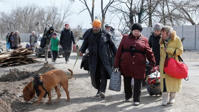 ИОМ: Раселени 6,5 милиони луѓе во Украина 