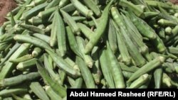 بېنډۍ د هېواد یو له هغو سبزیو یادېږي چې ډېر اخیستونکي او د مزار بېنډۍ بیا د ښه خوند له امله ډېر اخیستونکي لري.