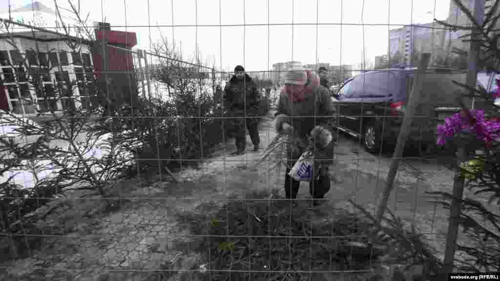 Новы Год 2013, Менск. На кірмашы ёлак нешта выбраць няпроста.