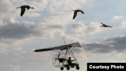 Endangered white cranes fly with a guide in Russia.