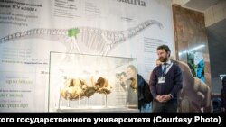 Ученый около фрагмента останков сибиротитана. Фото предоставлено пресс-службой Томского государственного университета