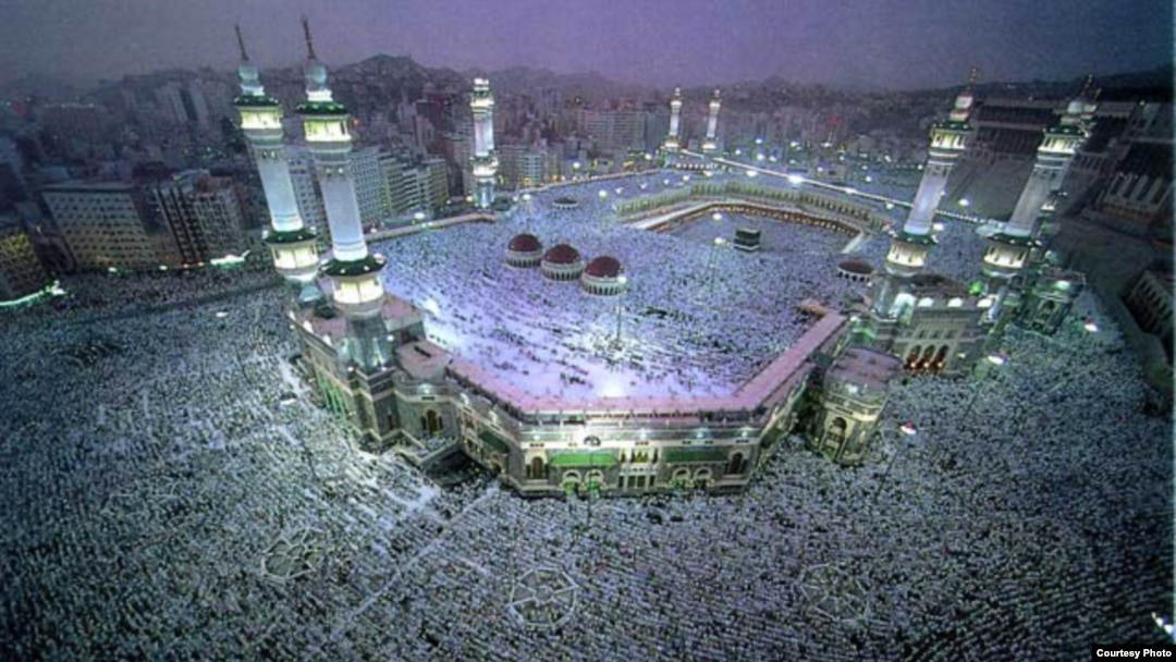 Света апайды сиқырлап жатыр