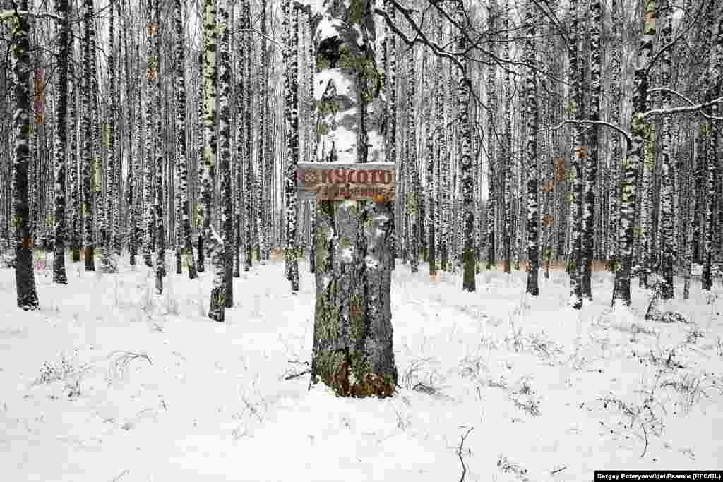 There are thought to be about 400 sacred groves where the Mari people worship. This one is marked by a sign pointing the way to the grove, or Kusoto. 