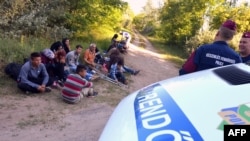 Afghan and Pakistani migrants sit in front of Hungarian police officers at the Hungarian-Serbian border in June.