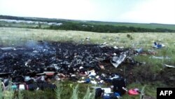 Уламки «Боїнга-777» розлетілися на 5 кілометрів, Донеччина, 17 липня 2014 