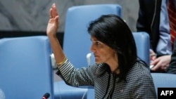 The U.S. Ambassador to the UN Nikki Haley