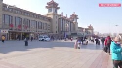 Çində saxta peyvənd istehsalçıları həbs edilib