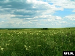 Степ українського сходу – колись козацьке Дике Поле. Безкрайні степи України теж мають свободолюбне звучання