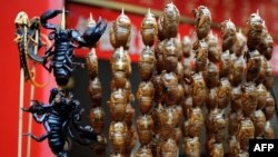 Lizards, scorpions, and bugs are on offer at a food stall on the Wangfujing shopping street in Beijing.