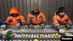 Муҳоҷирони корӣ аз Ҳиндустон дар Русия