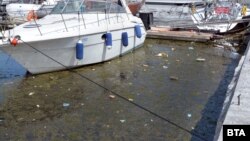 Замърсена вода във Варнеското езеро