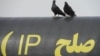 Birds sit on a gas pipeline with 'Peace' written in Persian during the inauguration ceremony of a gas pipeline in the city of Chabahar, south-western Sistan-Beluchistan province, March 11, 2013