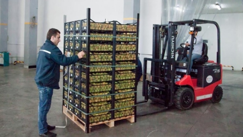 Yerevan Scrambles To Unblock Armenian Fruit Exports To Russia