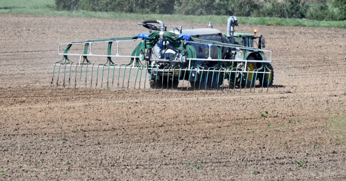 Европейският парламент (ЕП) прие да увеличи поетапно митата върху вноса