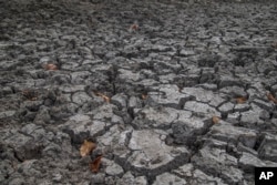 Urmările secetei provocate de fenomenul El Nino la Mudzi, Zimbabwe, pe 2 iulie 2024.