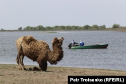 Река Кигач в селе Коптогай, Атырауской области. На противоположном берегу — Россия. 4 мая 2021 года