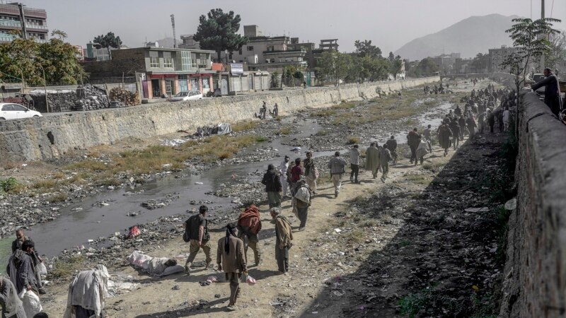 تصویري ټولګه: کابل کې د درملنې لپاره د طالبانو له لوري د معتادینو جبري راټولول