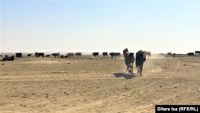 Жаңа мұғалім үлкен сиськи порно Нанайка жопаға сиды (порно)