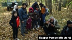 Група іракскіх мігрантаў акружаная памежнікамі і паліцыянтамі пасля перасячэньня беларуска-польскай мяжы каля Гайнаўкі
