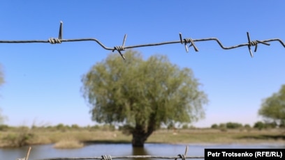 Ашық ауада ресейлік минетаны қараңыз